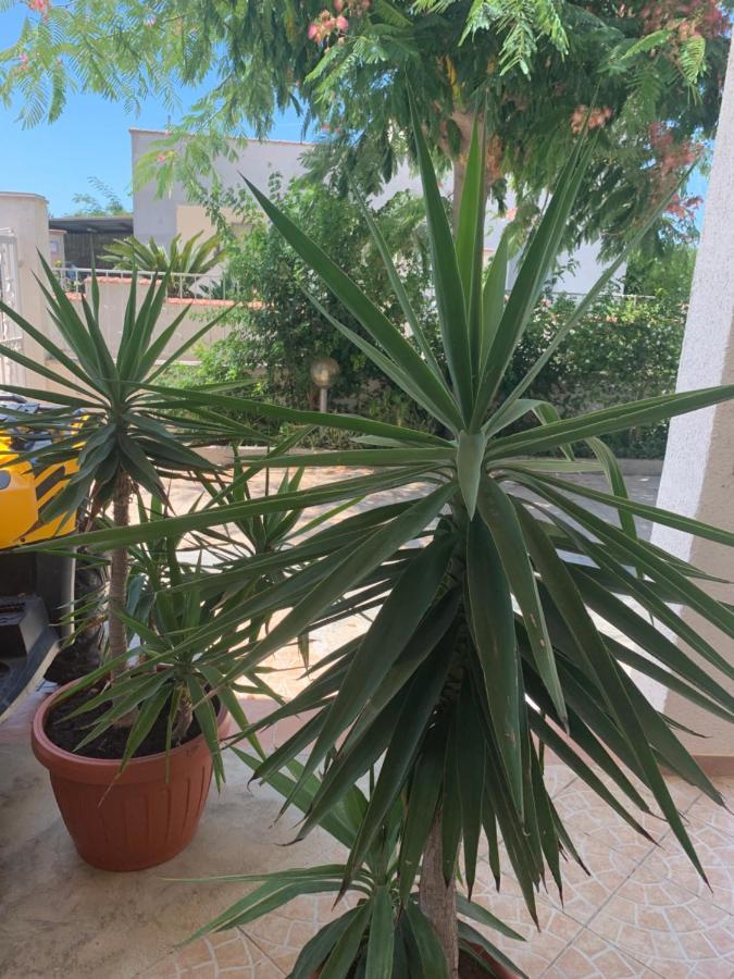 Valentina Lovely Rooms Trapani Exterior foto